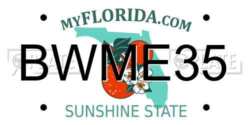 BWME35 Florida License Plate
