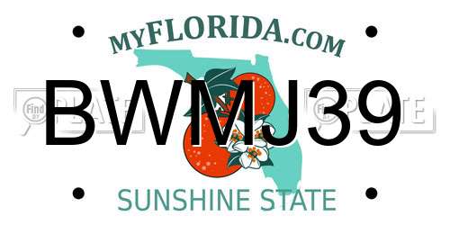 BWMJ39 Florida License Plate