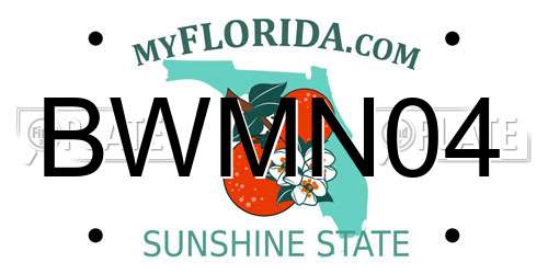 BWMN04 Florida License Plate