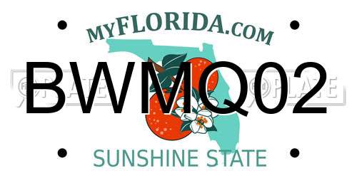 BWMQ02 Florida License Plate