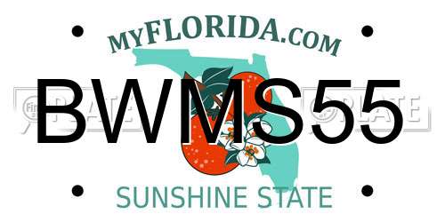 BWMS55 Florida License Plate