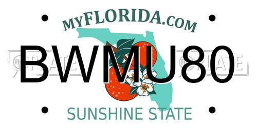 BWMU80 Florida License Plate