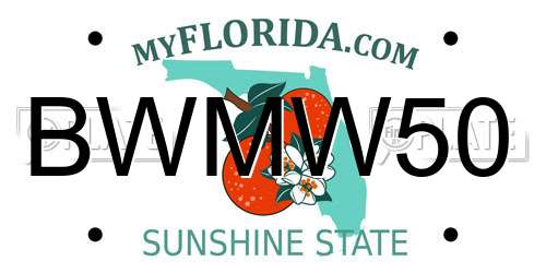 BWMW50 Florida License Plate