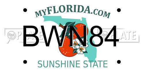 BWN84 Florida License Plate