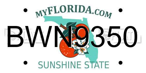 BWN9350 Florida License Plate