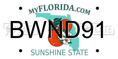 BWND91 Florida License Plate