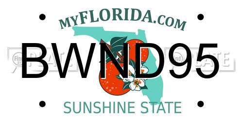 BWND95 Florida License Plate