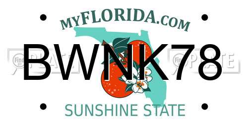 BWNK78 Florida License Plate