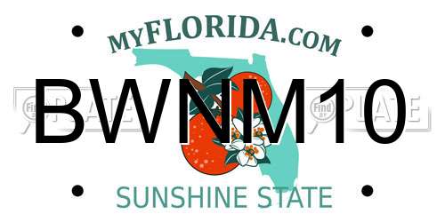 BWNM10 Florida License Plate