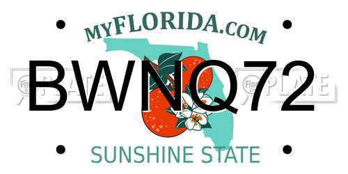 BWNQ72 Florida License Plate