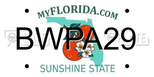 BWPA29 Florida License Plate