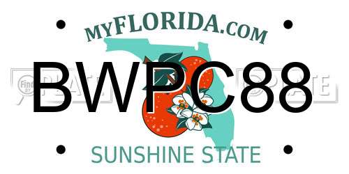 BWPC88 Florida License Plate