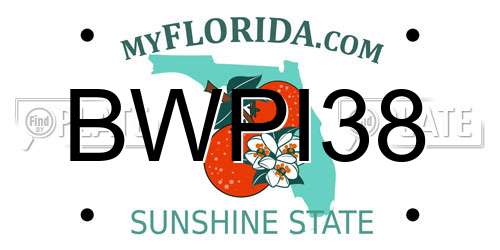 BWPI38 Florida License Plate