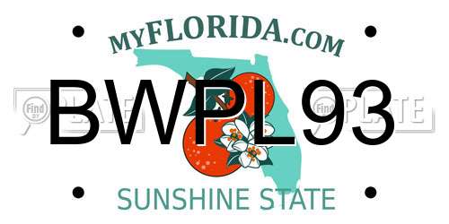BWPL93 Florida License Plate