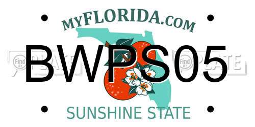 BWPS05 Florida License Plate