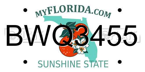 BWQ3455 Florida License Plate