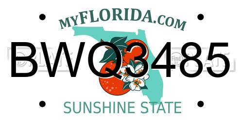 BWQ3485 Florida License Plate