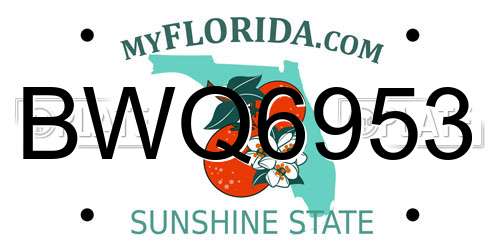 BWQ6953 Florida License Plate