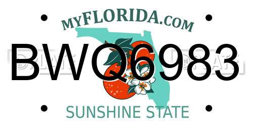 BWQ6983 Florida License Plate