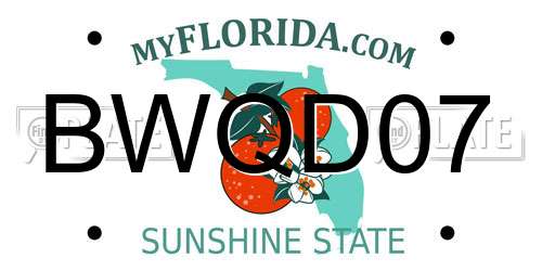 BWQD07 Florida License Plate