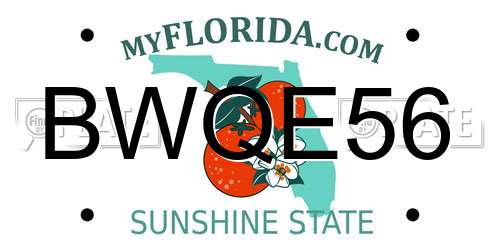 BWQE56 Florida License Plate