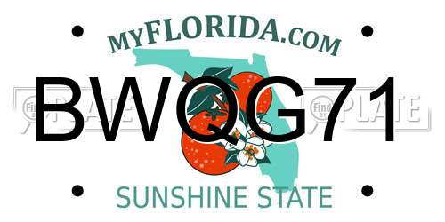 BWQG71 Florida License Plate