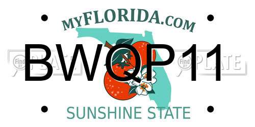 BWQP11 Florida License Plate
