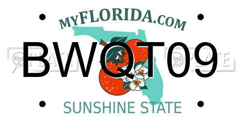 BWQT09 Florida License Plate