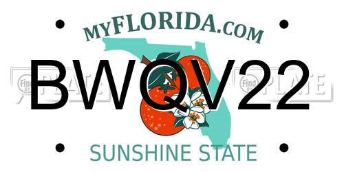 BWQV22 Florida License Plate