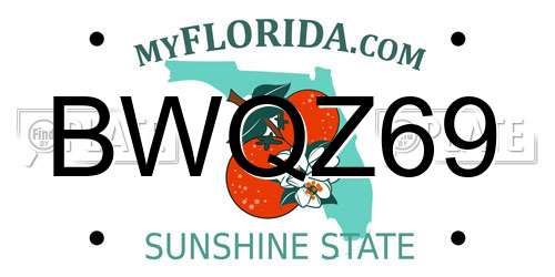 BWQZ69 Florida License Plate