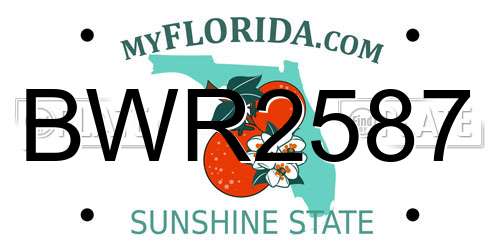 BWR2587 Florida License Plate