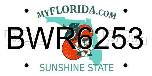 BWR6253 Florida License Plate