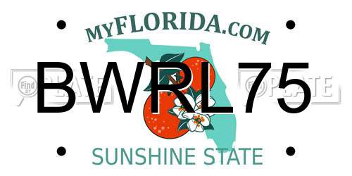 BWRL75 Florida License Plate