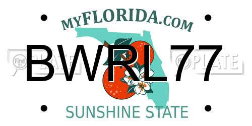 BWRL77 Florida License Plate