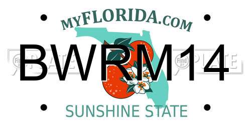 BWRM14 Florida License Plate