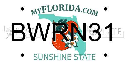 BWRN31 Florida License Plate