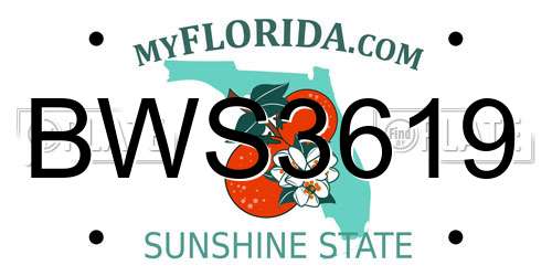 BWS3619 Florida License Plate