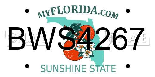 BWS4267 Florida License Plate