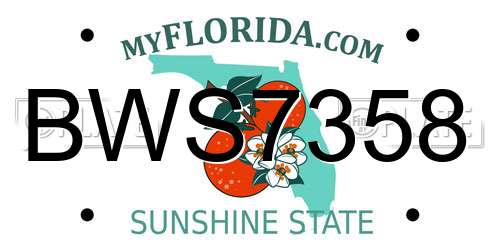 BWS7358 Florida License Plate