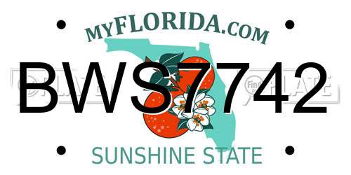 BWS7742 Florida License Plate