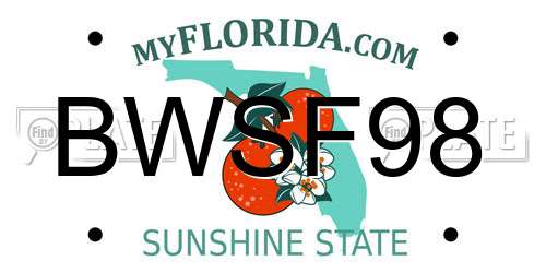 BWSF98 Florida License Plate