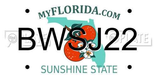 BWSJ22 Florida License Plate