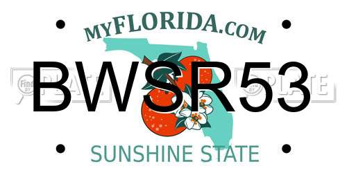 BWSR53 Florida License Plate
