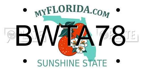 BWTA78 Florida License Plate
