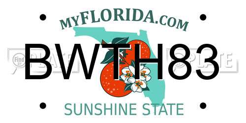 BWTH83 Florida License Plate