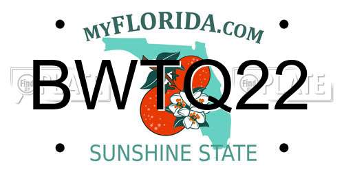 BWTQ22 Florida License Plate