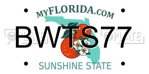 BWTS77 Florida License Plate