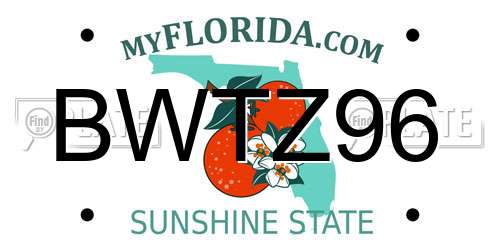 BWTZ96 Florida License Plate