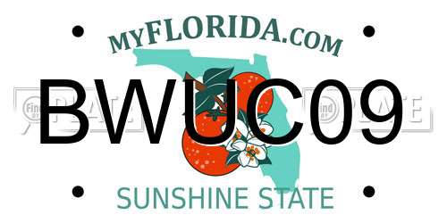 BWUC09 Florida License Plate