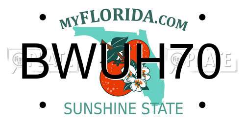 BWUH70 Florida License Plate